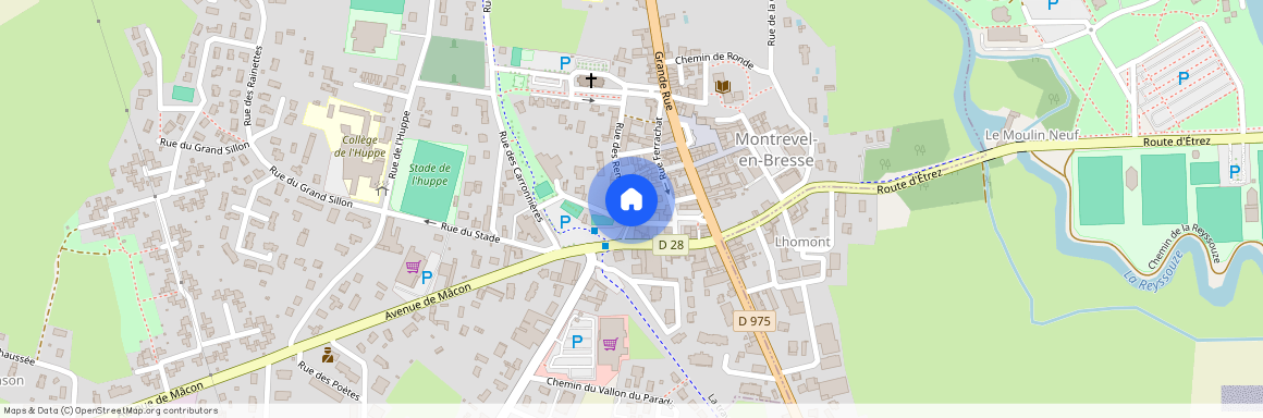 MONTREVEL EN BRESSE 01340