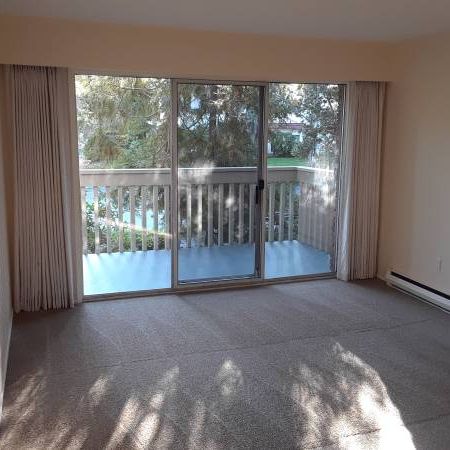 1 Bedroom in Quiet Neighborhood - Photo 4