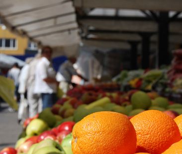 Södergatan 97 - Foto 6