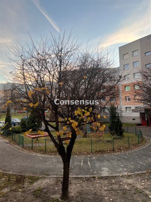 Katowice - Zdjęcie 1