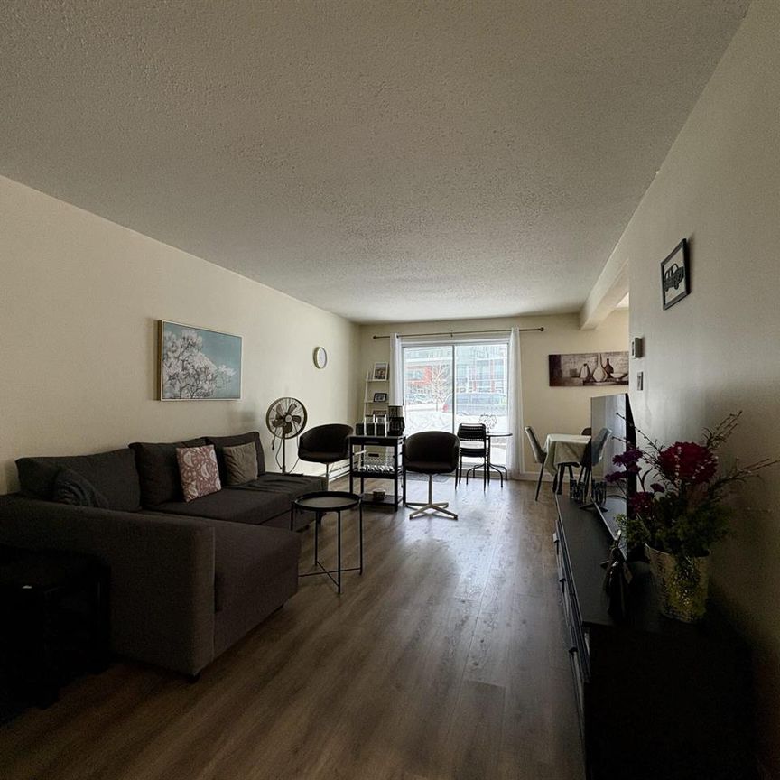 Antoine-du Verdier Appartement 4 ½ à Louer Sainte-Foy / Sillery Juillet 2026 - Photo 1