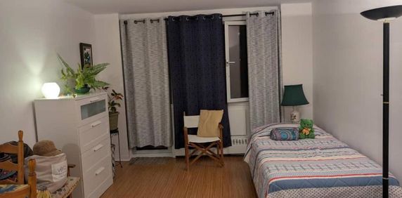 Charmant 1½ lumineux, bien entretenu, Ste-Famille/Prince Arthur - Photo 2