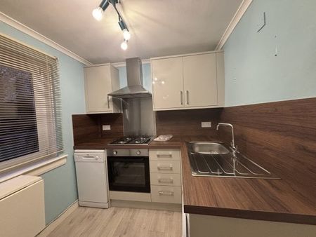 Ledi Avenue, Tullibody - Photo 4