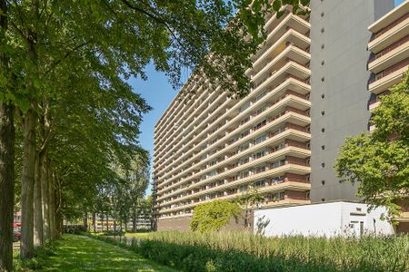 Te huur: Appartement Arthur van Schendelplein 177 in Delft - Foto 2