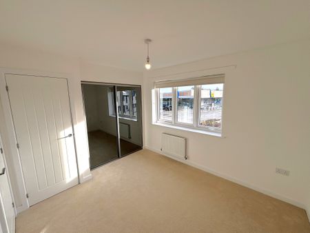 The Plimsoll - Photo 2