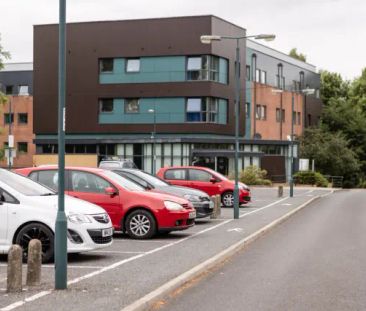 Standard Plus - Photo 6