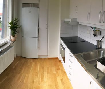 Växthusvägen, Bro - Photo 5