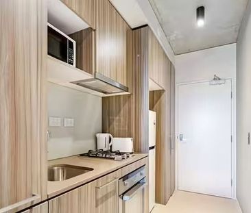 Fully Furnished Studio Apartment with Park Views in Melbourne CBD - Photo 4