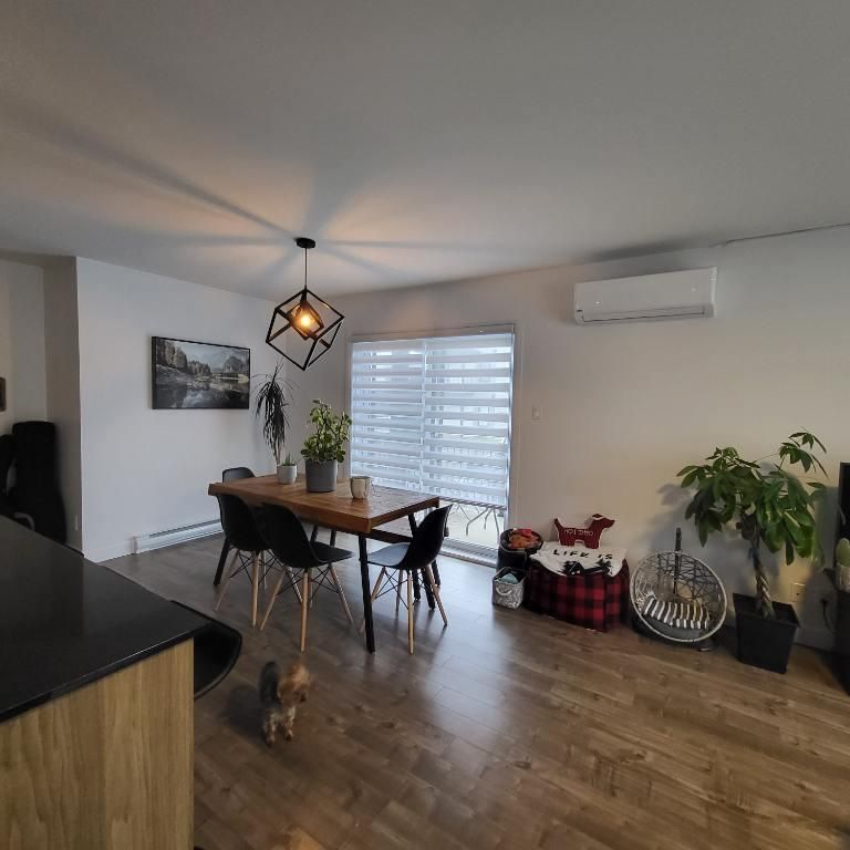 Appartement 4½ à louer - Saint-Nicolas - 1er septembre - Photo 1