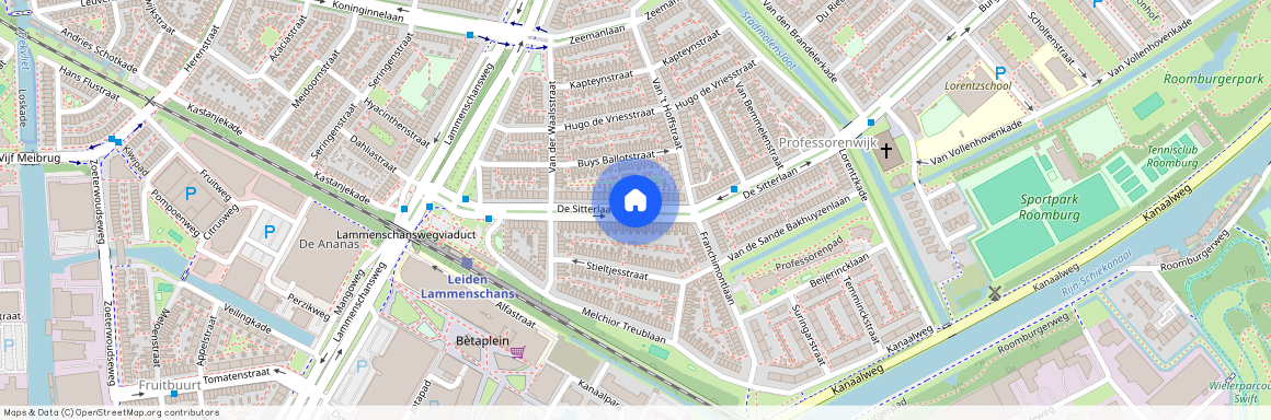 Professorenwijk-West, 2313 TP, De Sitterlaan, Leiden