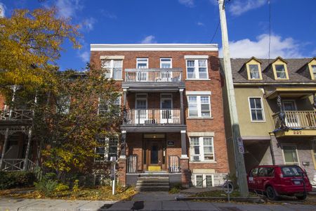 3 - 225 St. Patrick Street - Photo 4