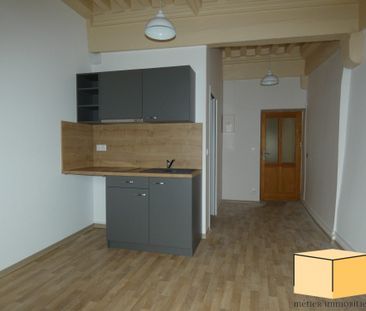 Location Appartement 1 pièce 21m² BELLEY 01300 - Photo 1