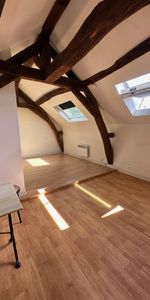 Location Appartement 1 pièce 17m² ST JEAN LE BLANC 45650 - Photo 4