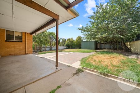 115 Simkin Crescent, Kooringal NSW 2650 - Photo 5