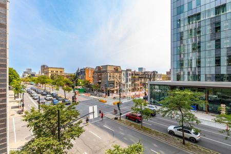 Appartement à louer - Montréal (Ville-Marie) (Centre) - Photo 2