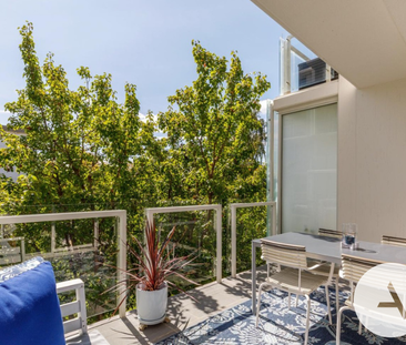 15/45 Blackall St, Barton ACT 2600 - Apartment For Rent | Domain - Photo 4