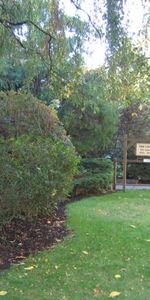 East Facing One Bed. near Marpole Loop for October 1st , 2024 - Photo 3