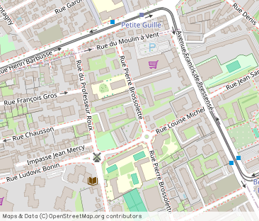Rue du Professeur Roux, Vénissieux - Photo 1