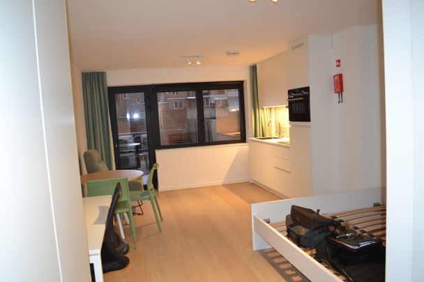 3 instapklare studio's te huur - Photo 1