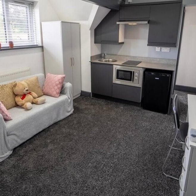 Studio Flat, Birmingham, B29 - Photo 1