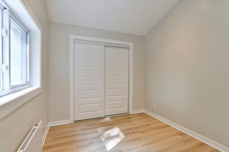 230 Rue du Lac-à-l'Anguille, J8A 1R2, J8A 1R2, Saint - Photo 3