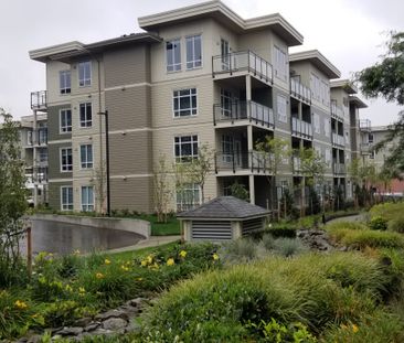 Burnaby Property Management - Properties For Rent or Lease in Great... - Photo 6