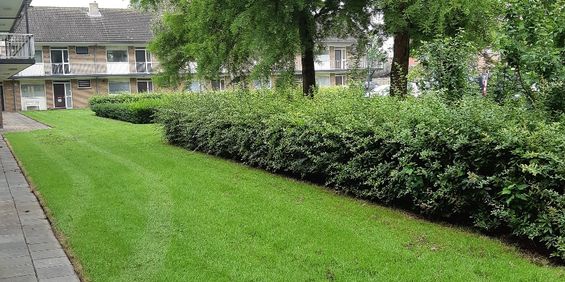 instapklare 55+ woning met een leuke tuin - Foto 3