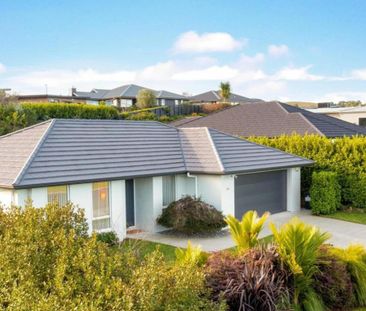 Modern Matakana Village central - Photo 5