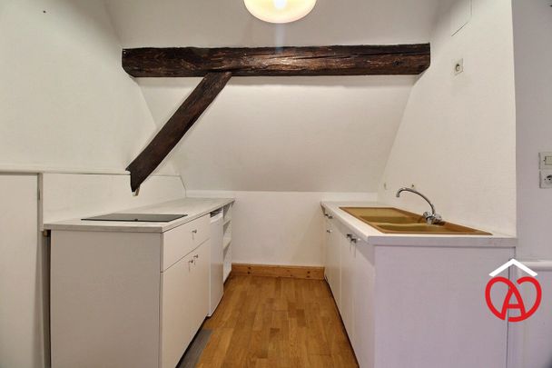 Location Appartement 1 pièce 20m² VILLE 67220 - Photo 1