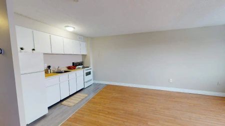 255 Stewart Street — 255 Stewart - Studio Plan A - Photo 5