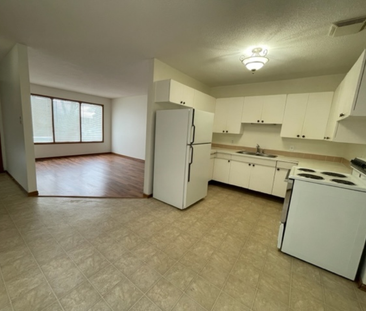 3 Bedroom Duplex in North Park - Photo 2