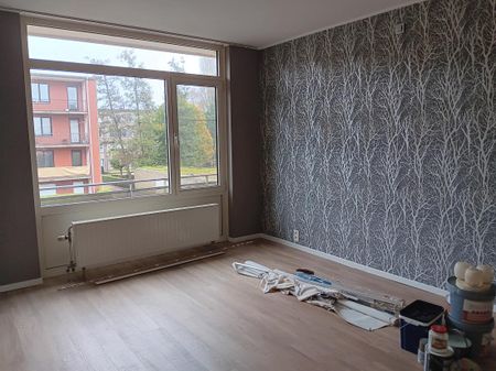 Te Huur- Appartement- Borsbeek- TH406 - Photo 3