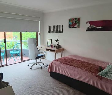 Wollongong CBD - Photo 4