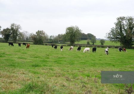 6 Fair Green Court, Killylea, BT60 4JZ - Photo 4