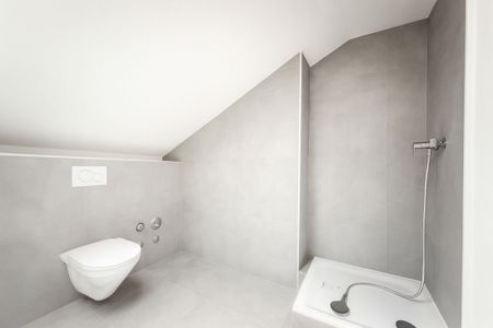 Erstvermietung nach Kernsanierung – stylish 2.5-room penthouse apartments in Grenchen - Foto 4