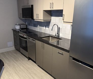 46 Nelson Street - 15 - Photo 4