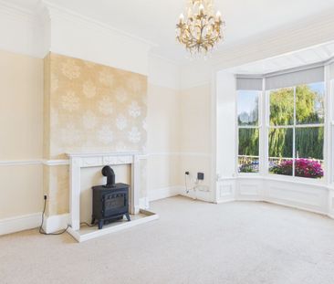 1 Bedroom - Photo 5