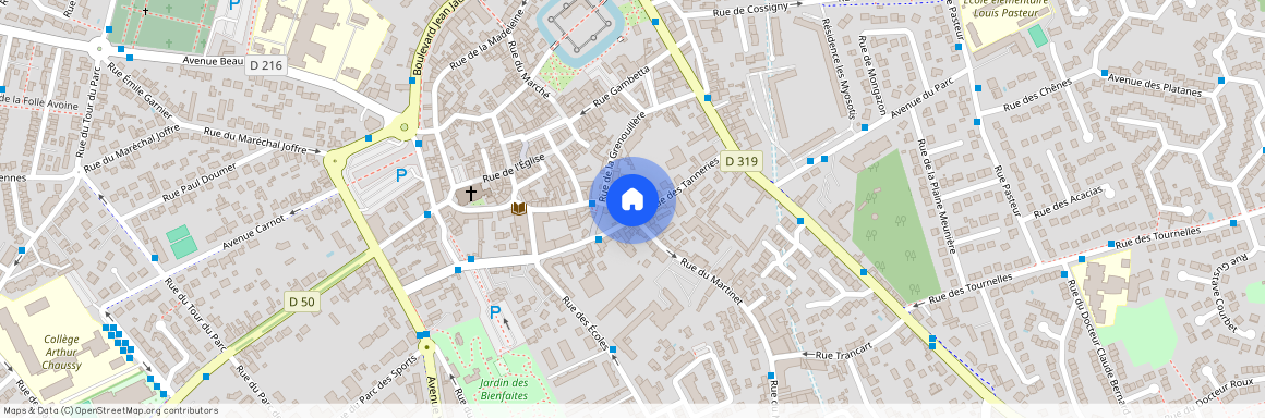 77170, Brie-Comte-Robert