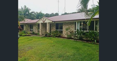 Large Family Home + Pool In Buderim - Photo 4