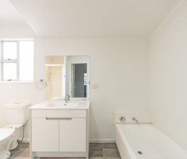 3 Bedroom Home in Convenient Claudelands Location - Photo 2