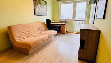 Niebuszewo, ul. Księcia Warcisława I, Szczecin - Zdjęcie 4