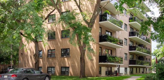 384 St Paul St - Photo 2