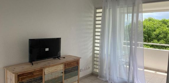 Location Appartement 1 pièce Meublé 19m² LES ABYMES 97139 - Photo 2