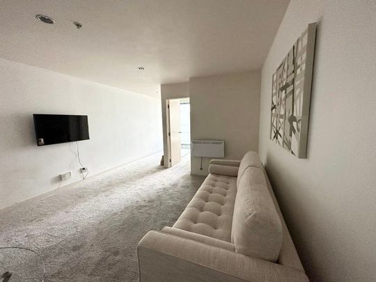 Spacious, furnished apartment in the City Gardens Apartments - Photo 1