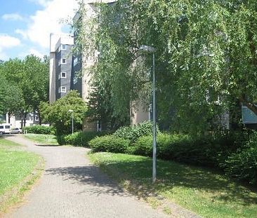 Genau unsere Wohnung: 2-Zimmer-Wohnung mit toller Dachterrasse - Photo 3