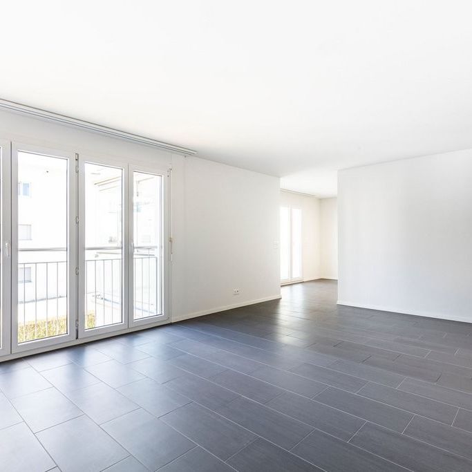 Attraktive 3.5 Zimmer-Wohnung im Pleerweg-Quartier - Foto 1