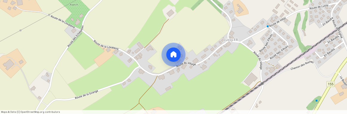 1690, Lussy FR, Été du village 58