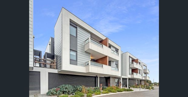 Contemporary Apartment Living - Photo 1