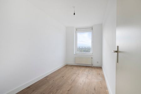 Hermelijnvlinder 95, Vlindertuin, 1113LC, Diemen - Foto 5