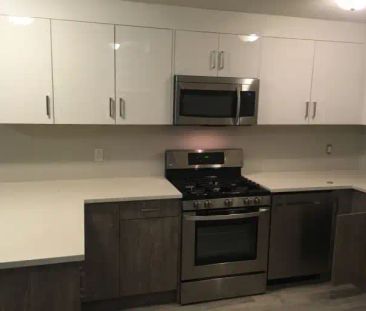 One Bedroom Basement Suite in McKenzie Towne | Calgary - Photo 1